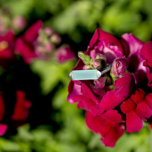 Rhodium Plated Green Chalcedony Bar Ring